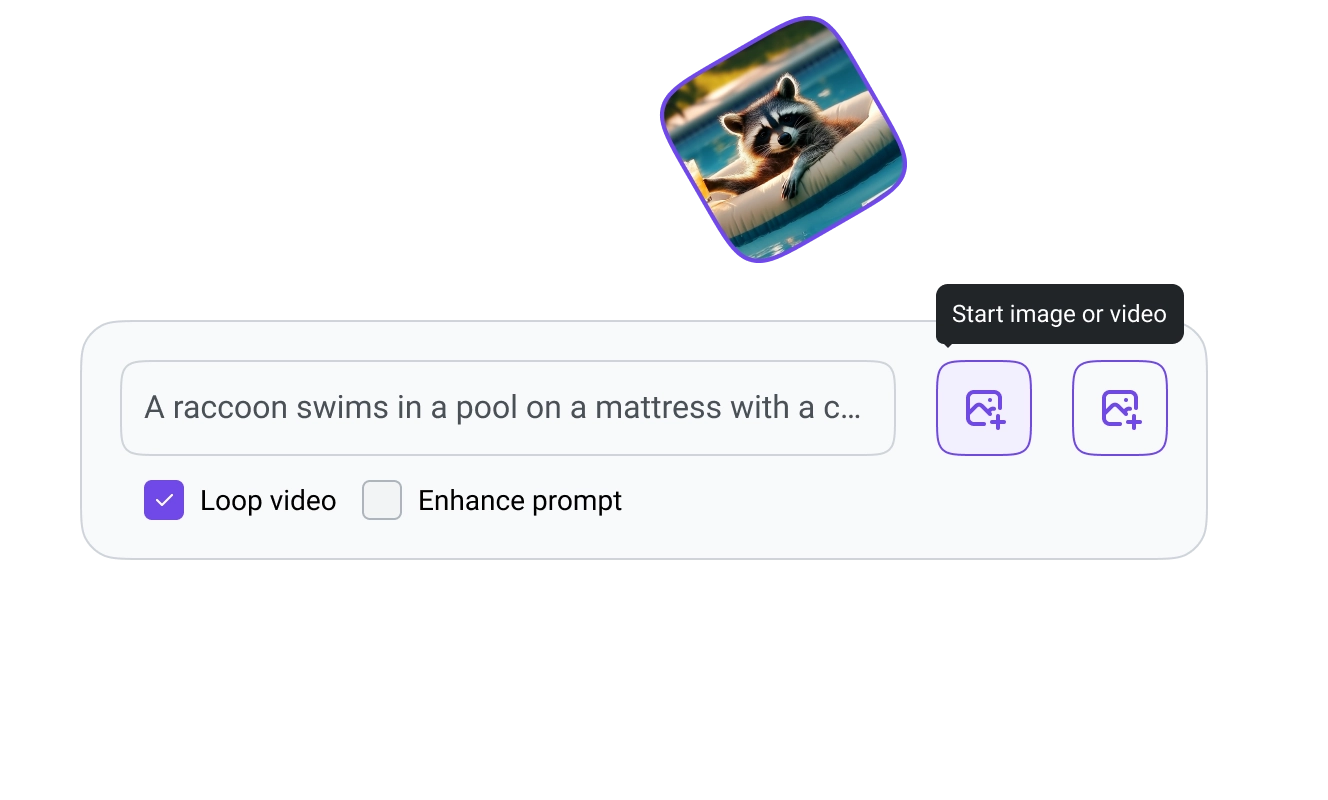 Raccoon relaxing in a pool on a mattress with a caption input field below for generating image or video prompts, featuring options like ‘Loop video’ and ‘Enhance prompt.